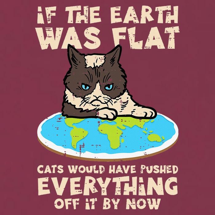 If Earth Was Flat Cat Pushed Everything 16oz Travel Tumbler