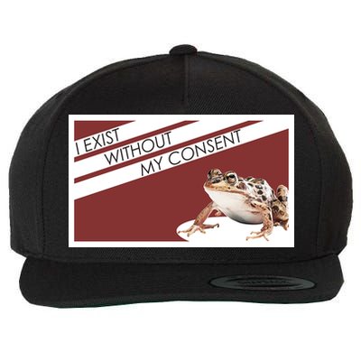 I Exist Without My Consent Funny Meme Frog Wool Snapback Cap
