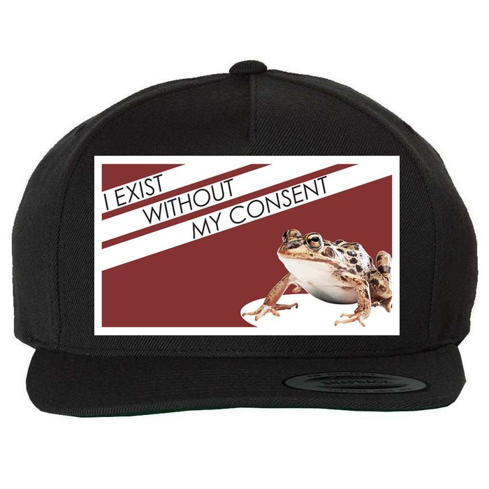 I Exist Without My Consent Funny Meme Frog Wool Snapback Cap