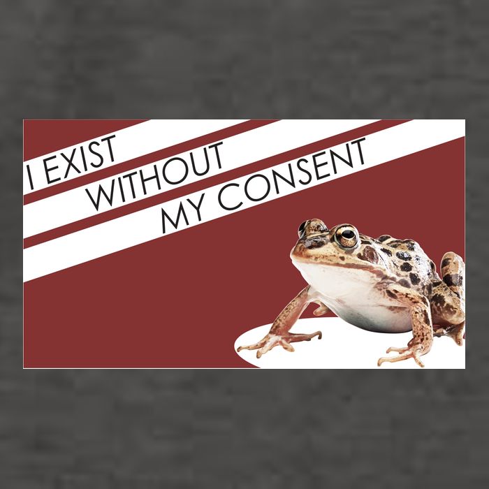 I Exist Without My Consent Funny Meme Frog Vector Backpack