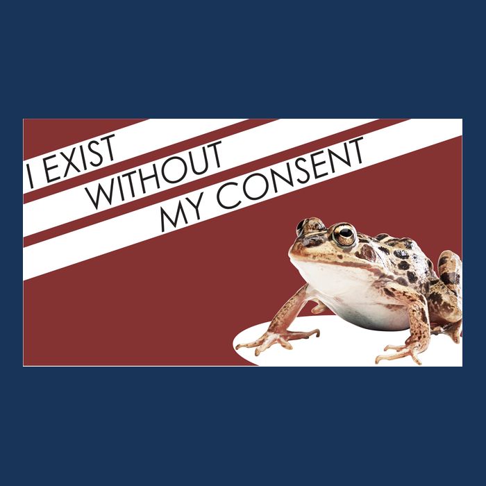I Exist Without My Consent Funny Meme Frog Infant Baby Jersey Bodysuit
