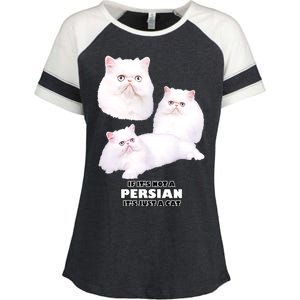 If It's Not a Persian It's Just A Cat Enza Ladies Jersey Colorblock Tee