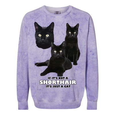 If It's Not a Shorthair It's Just A Cat Colorblast Crewneck Sweatshirt