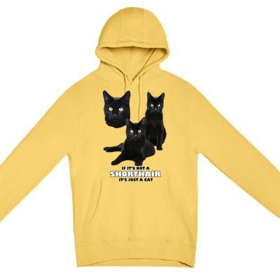 If It's Not a Shorthair It's Just A Cat Premium Pullover Hoodie