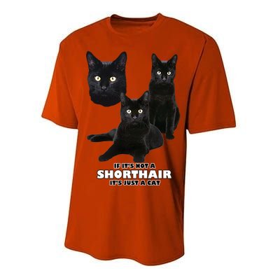 If It's Not a Shorthair It's Just A Cat Performance Sprint T-Shirt