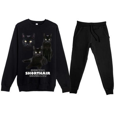 If It's Not a Shorthair It's Just A Cat Premium Crewneck Sweatsuit Set