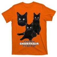 If It's Not a Shorthair It's Just A Cat T-Shirt