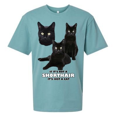 If It's Not a Shorthair It's Just A Cat Sueded Cloud Jersey T-Shirt