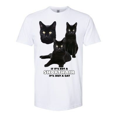 If It's Not a Shorthair It's Just A Cat Softstyle CVC T-Shirt