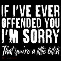 If I've Ever Offended You I'm Sorry That You're A Little B!tch Sweatshirt