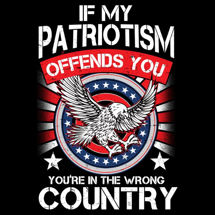 If My Patriotism Offends You You're In The Wrong Country Women's Perfect Tri Rocker Tank