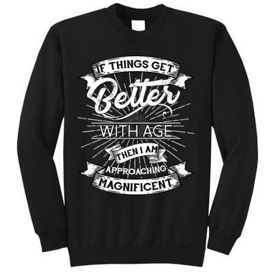 If Things Get Better With Age Then I Am Approaching Magnificent  Sweatshirt