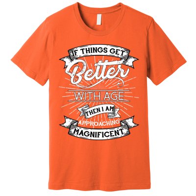 If Things Get Better With Age Then I Am Approaching Magnificent  Premium T-Shirt