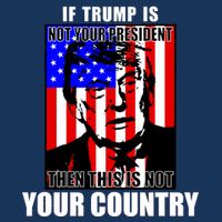 If Trump is Not Your President Then This is Not You Country T-Shirt