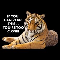 If You Can Read This You're Too Close Funny Tiger Baby Bodysuit