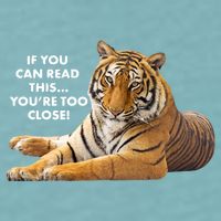 If You Can Read This You're Too Close Funny Tiger Sueded Cloud Jersey T-Shirt