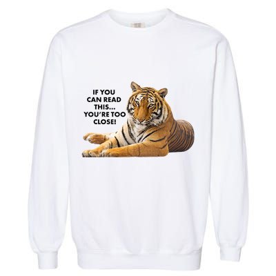 If You Can Read This You're Too Close Funny Tiger Garment-Dyed Sweatshirt
