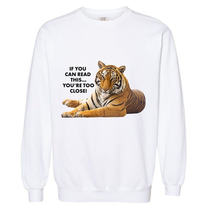 If You Can Read This You're Too Close Funny Tiger Garment-Dyed Sweatshirt