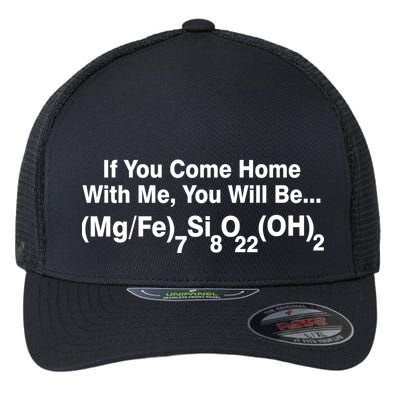 If You Come Home With Me You Will Be Cummingtonite Flexfit Unipanel Trucker Cap