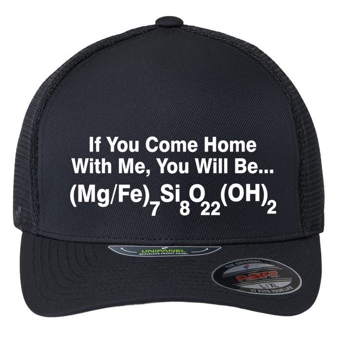 If You Come Home With Me You Will Be Cummingtonite Flexfit Unipanel Trucker Cap