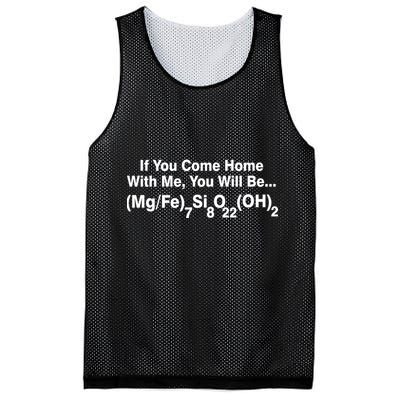 If You Come Home With Me You Will Be Cummingtonite Mesh Reversible Basketball Jersey Tank