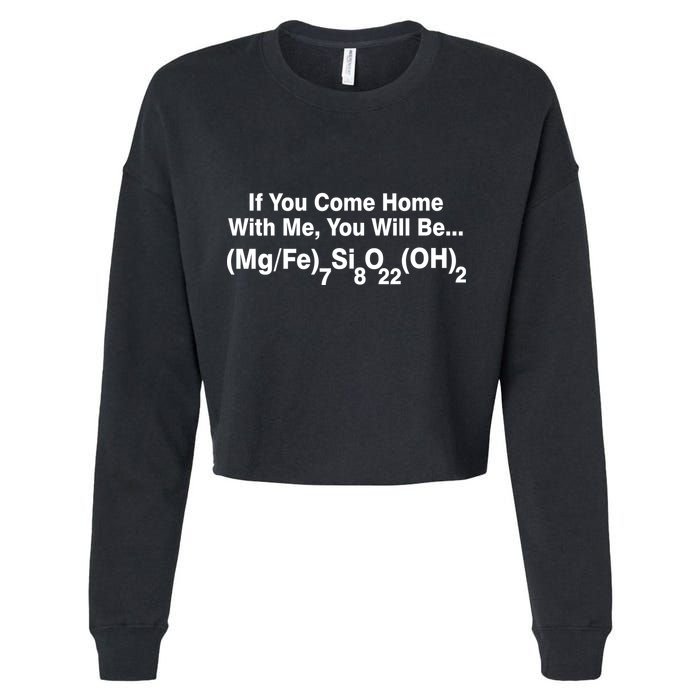 If You Come Home With Me You Will Be Cummingtonite Cropped Pullover Crew