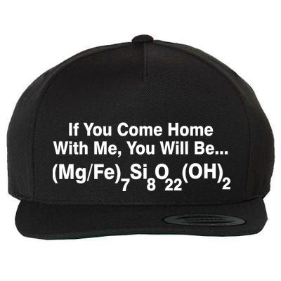 If You Come Home With Me You Will Be Cummingtonite Wool Snapback Cap