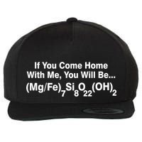 If You Come Home With Me You Will Be Cummingtonite Wool Snapback Cap