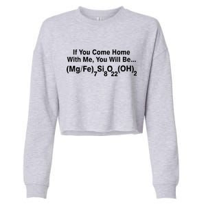 If You Come Home With Me You Will Be Cummingtonite Cropped Pullover Crew