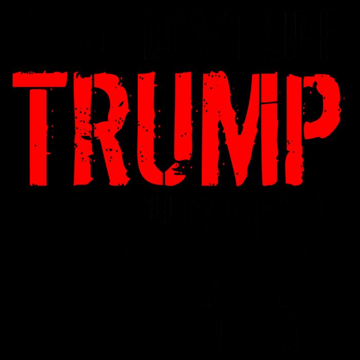 If you don't like Trump Funny Mug