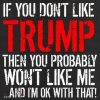 If you don't like Trump Funny 11oz C Handle Ceramic Mug
