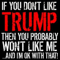 If you don't like Trump Funny Womens T-Shirt