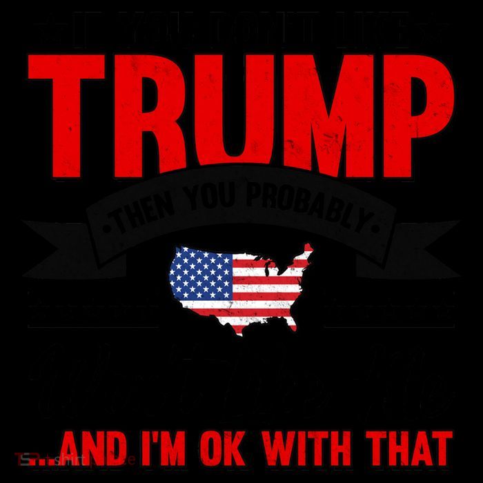 If You Don't Like Trump Then You Probably Won't Like Me Mug