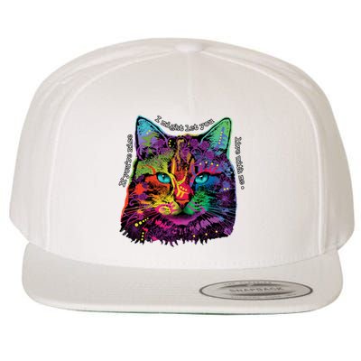 If You're Nice Cat Funny Wool Snapback Cap