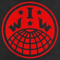 Iww Screeching Cat Beware Sabotage High Def Trucker Hat