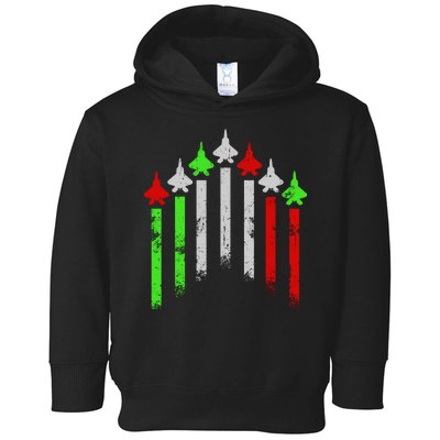 Italian Flag Airplanes Toddler Hoodie