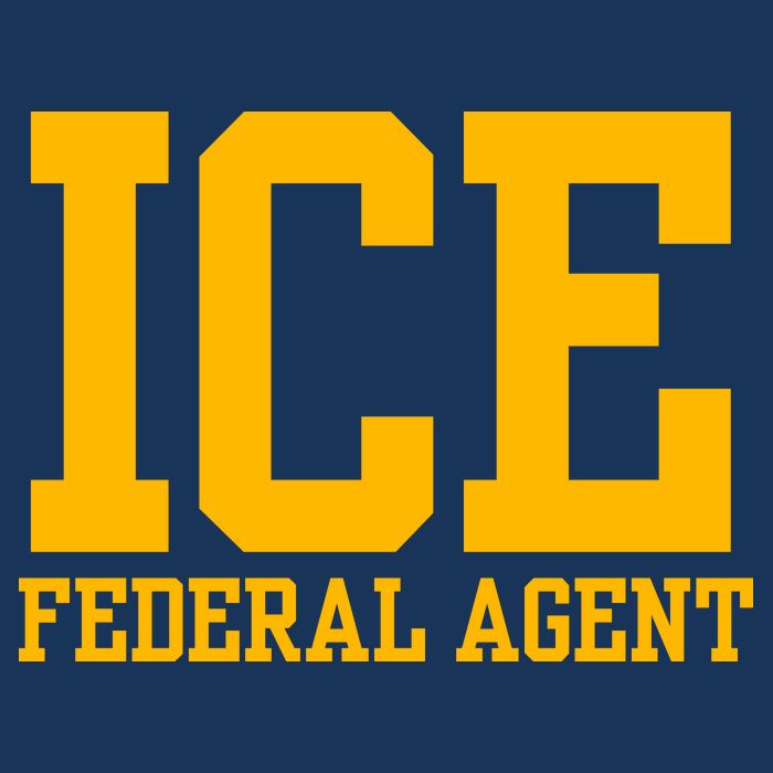 Ice Federal Agent Halloween Costume Police Immigration Poster