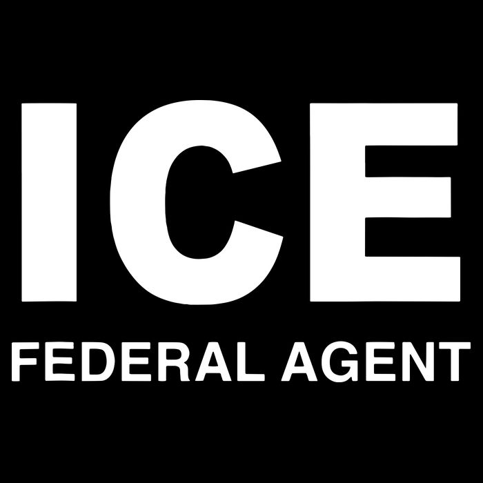Ice Federal Agent Halloween Costume Police Immigration Flatbill Hat