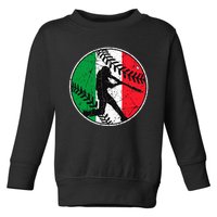 Italian Flag Baseball Hitter Italy Flag Toddler Sweatshirt