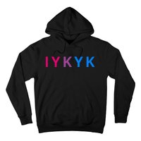 Iykyk Funny Bisexual Lgbtq Pride Subtle Lgbt Bi I Y K Y K Hoodie