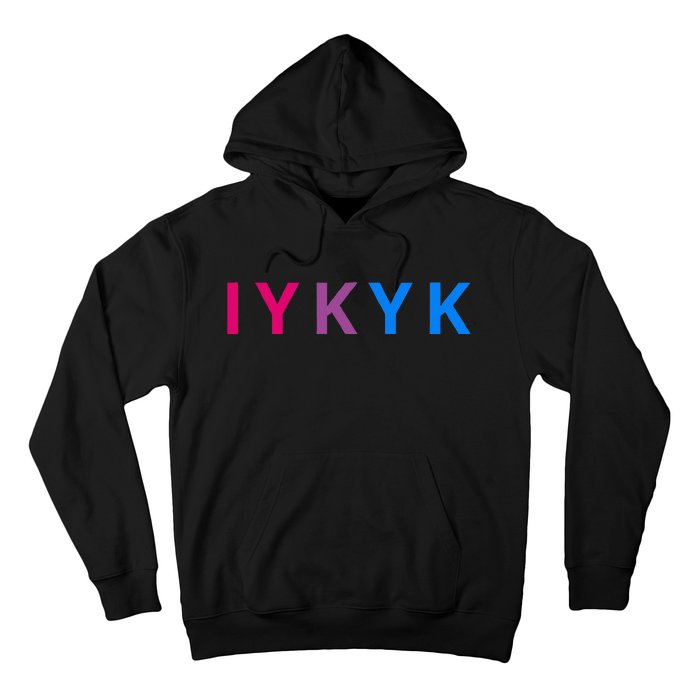 Iykyk Funny Bisexual Lgbtq Pride Subtle Lgbt Bi I Y K Y K Hoodie