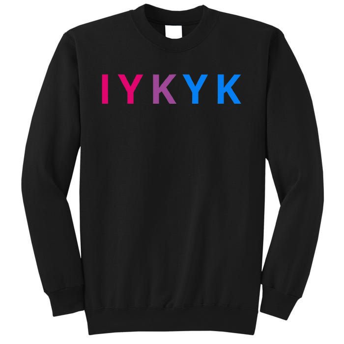 Iykyk Funny Bisexual Lgbtq Pride Subtle Lgbt Bi I Y K Y K Sweatshirt