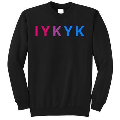 Iykyk Funny Bisexual Lgbtq Pride Subtle Lgbt Bi I Y K Y K Tall Sweatshirt