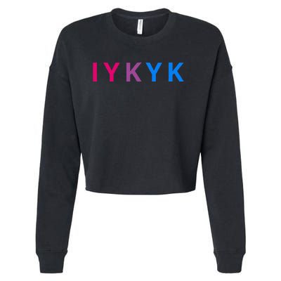 Iykyk Funny Bisexual Lgbtq Pride Subtle Lgbt Bi I Y K Y K Cropped Pullover Crew