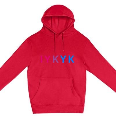 Iykyk Funny Bisexual Lgbtq Pride Subtle Lgbt Bi I Y K Y K Premium Pullover Hoodie