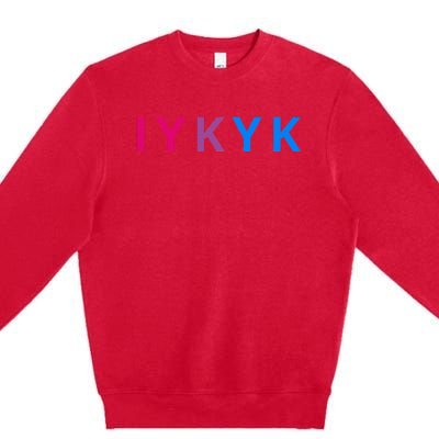 Iykyk Funny Bisexual Lgbtq Pride Subtle Lgbt Bi I Y K Y K Premium Crewneck Sweatshirt