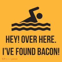 I've Found Bacon! Funny Swimmer , Bacon Lovers Pom Pom 12in Knit Beanie