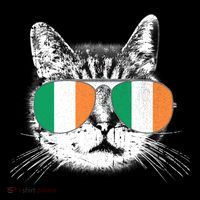 Irish Flag Cat T St. Patrick's Day Catrick's Cattys Mug
