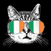Irish Flag Cat T St. Patrick's Day Catrick's Cattys Visor