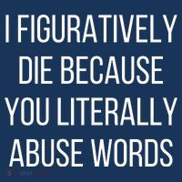 I Figuratively Die Because You Literally Abuse Words Womens T-Shirt